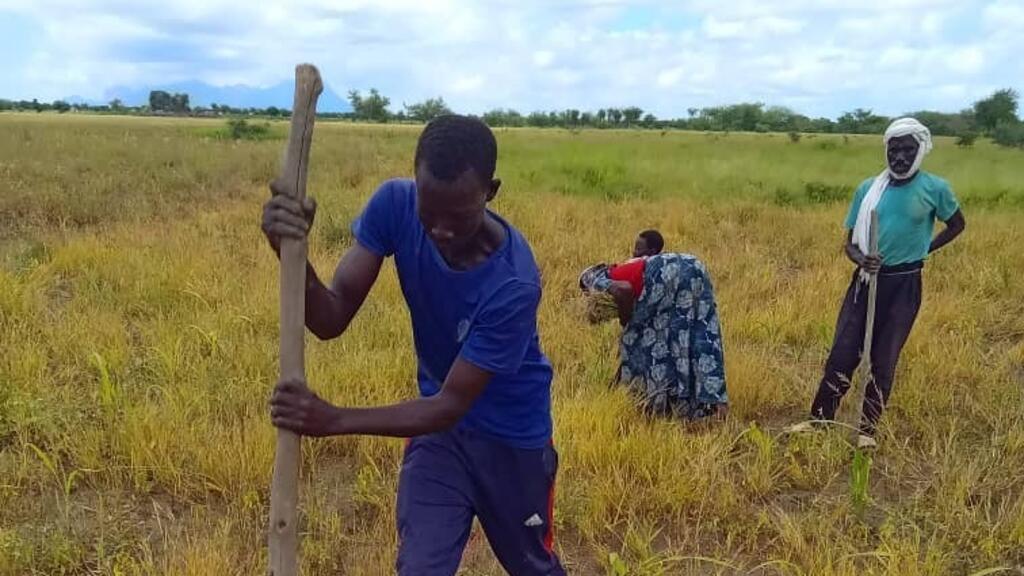 a farmer marking an agricultural plot during a CEP session