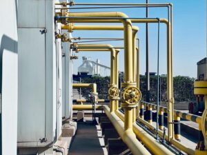 Niger and Algeria strengthen energy ties with landmark cooperation agreements