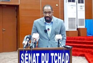 Tchad tackles intercommunal conflicts with public security plan