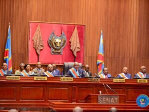 Senate advances referendum law review in dr Congo