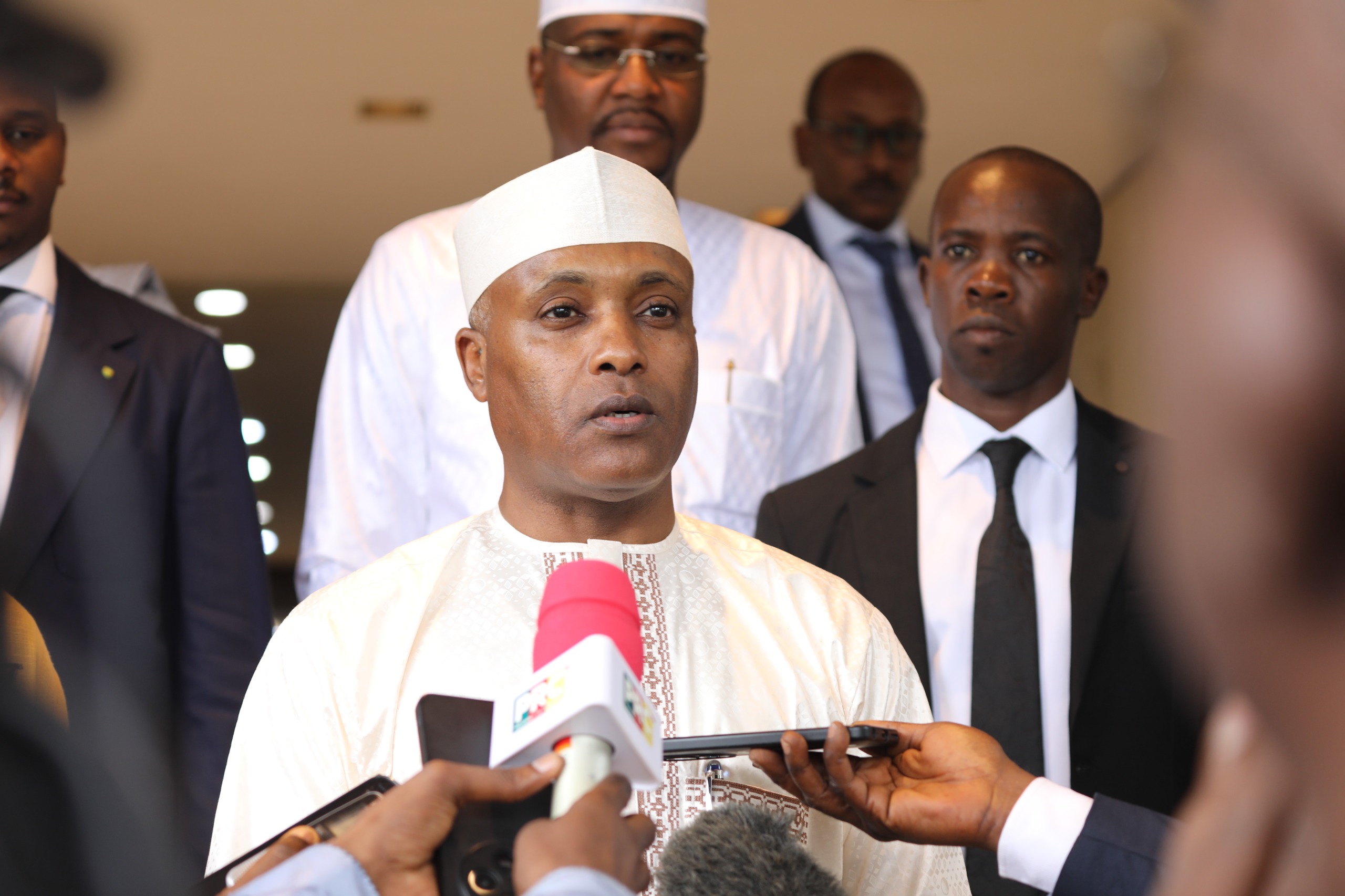 Chadian and Cameroonian officials during diplomatic engagement