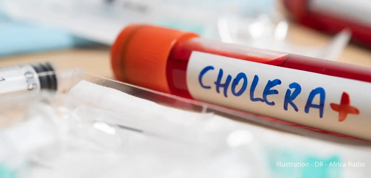 cholera outbreak in Chad claims 13 lives, over 230 cases reported